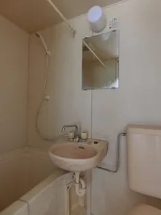 フローレンス勝田1号棟【10号室】のその他画像