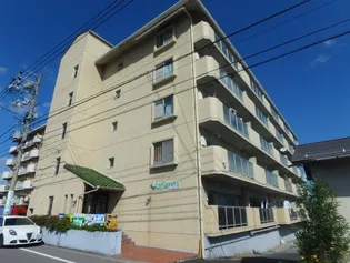 インフィオラータの画像