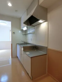 ブルーム米原A棟【102号室】のキッチン