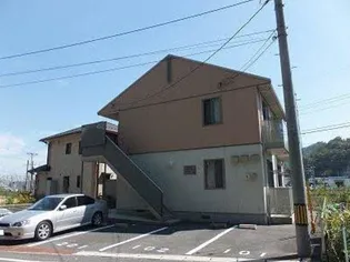 タートルテイルの画像