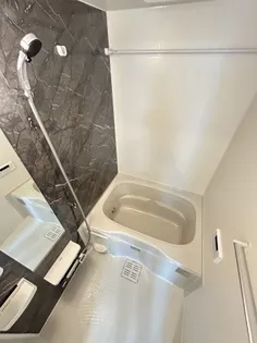 メゾン・デュ・レ【2階】の風呂