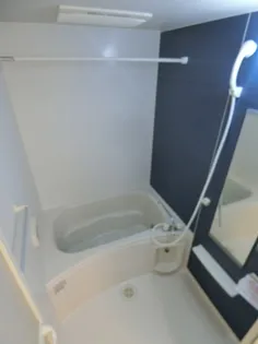 プランドールB【1階】の風呂