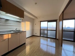 スカイマンションE【506号室】の居間