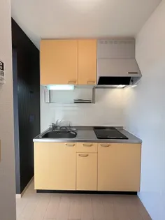 リビングタウン観音寺E棟【2階】のキッチン