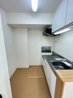 LAPINE(ラピーヌ)B【1階】のキッチン