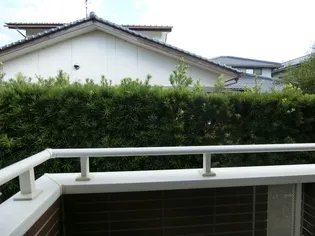 オリエント中島 A【1階】のその他画像