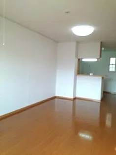 サンリュー 07 C【1階】の居間