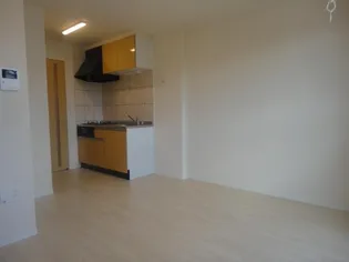 パーソナルマンション灘町【203号室】の居間