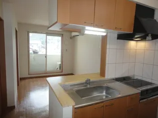 ピオニー【203号室】のキッチン