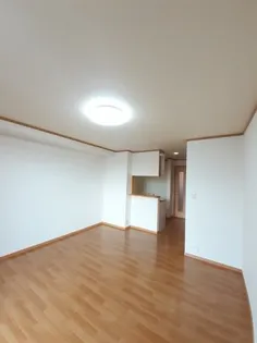 メゾンラフィネA【1階】の居間