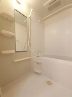 メゾンラフィネA【1階】の風呂