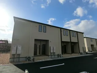 リアンT Cの画像