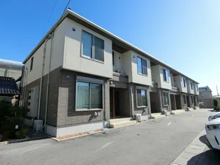 コリウスBの画像