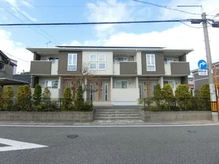 STARRY NOON Ⅱの画像