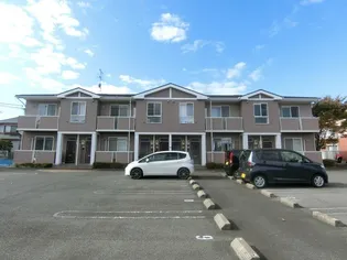 ファインBの画像