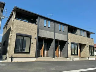 アメージングⅡの画像