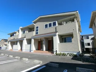 プリンセチア Iの画像