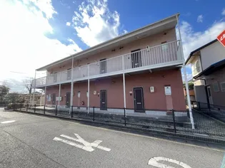 ファインCの画像