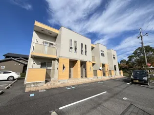 チェリーブロッサムの画像