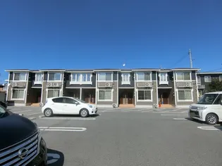 アフル シェードの画像