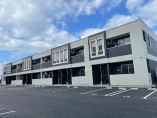 モアレディの画像