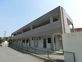 ピュア リーフの画像