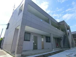 ゴールドクレストの画像