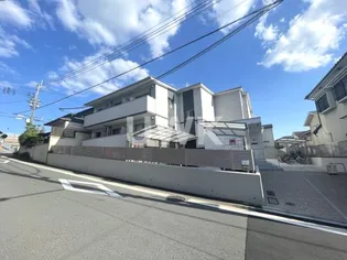 リアン藤森の画像