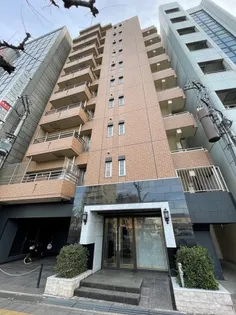 VILLA MARY五条【4階】の外観