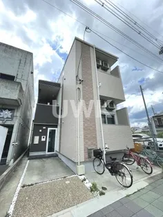 GISEMENT ACIERの画像