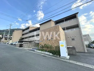 バンブーヒルズの画像