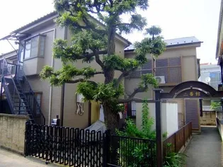 ハイム樹の花の画像