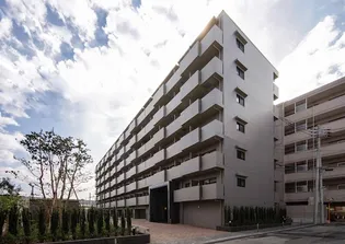 ルーブル武蔵小杉伍番館【7階】の外観