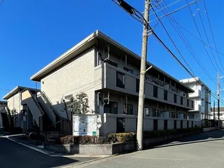 パルデンス綱島D棟の画像