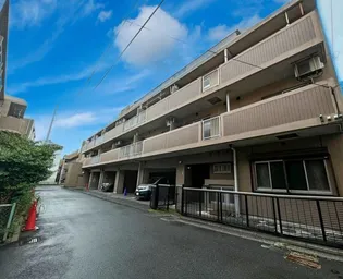 ドルフ安藤橋IIIの画像