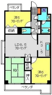 フジハイツ丸山台【501号室】の間取り