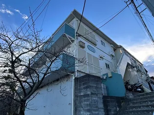 桜ヶ丘アイランド【110号室】の外観