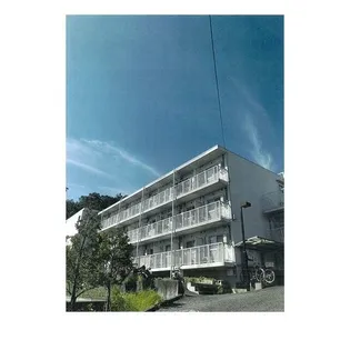 ヴァルト神の画像