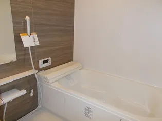 ヴューテラス寺尾の森【B101号室】の風呂