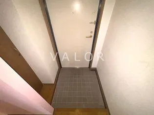 ビッグフィールド【303号室】の玄関