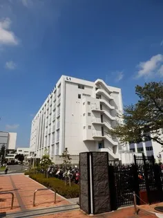 Lumiele I【1階】の周辺