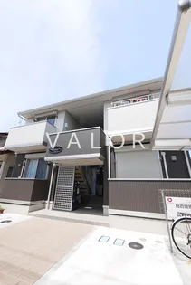 SOUTH WIND FREAの画像