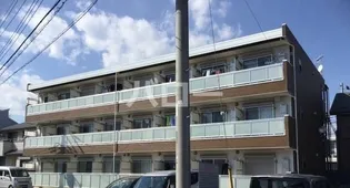 リブリ ポピーの画像