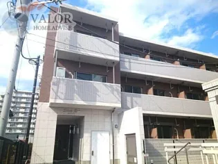 セソンルイの画像