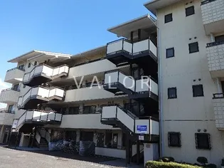 グランドール ノブの画像