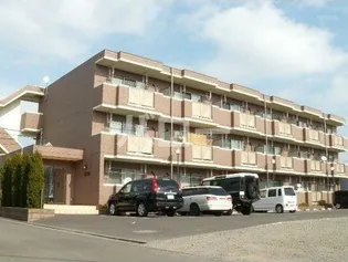 アミティエ禅の画像