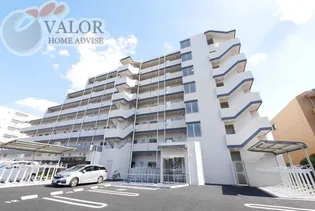 ヴァルスヴァルドの画像