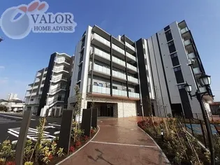 アベリアの画像