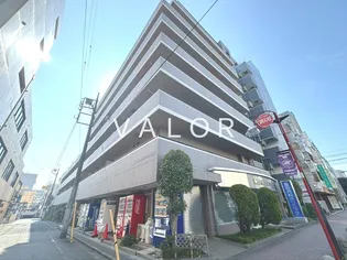 アムール森野の画像