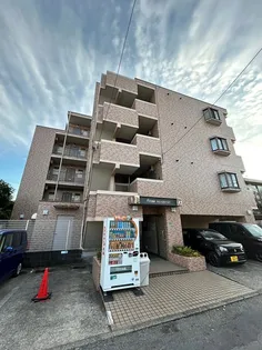 セルビス南台の画像